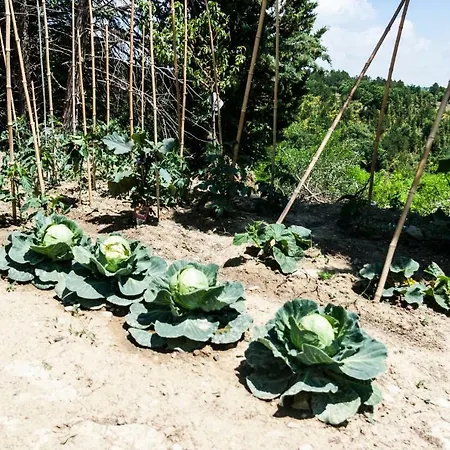 Pensión Le Terre Di Caprano 3*